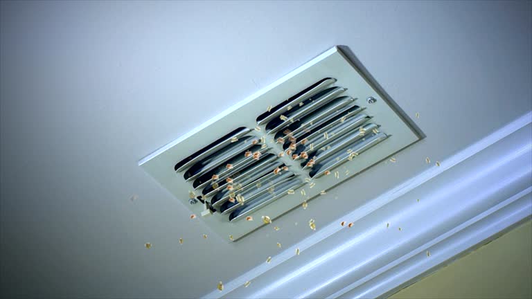 Best Air Duct Cleaning Near Me  in Jensen Beach, FL